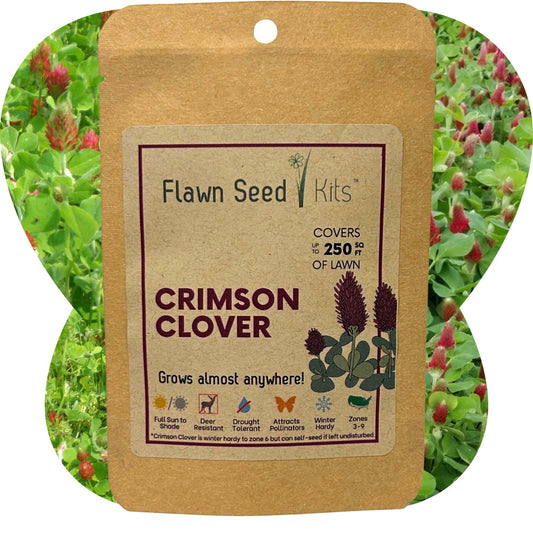 Crimson Clover Seed