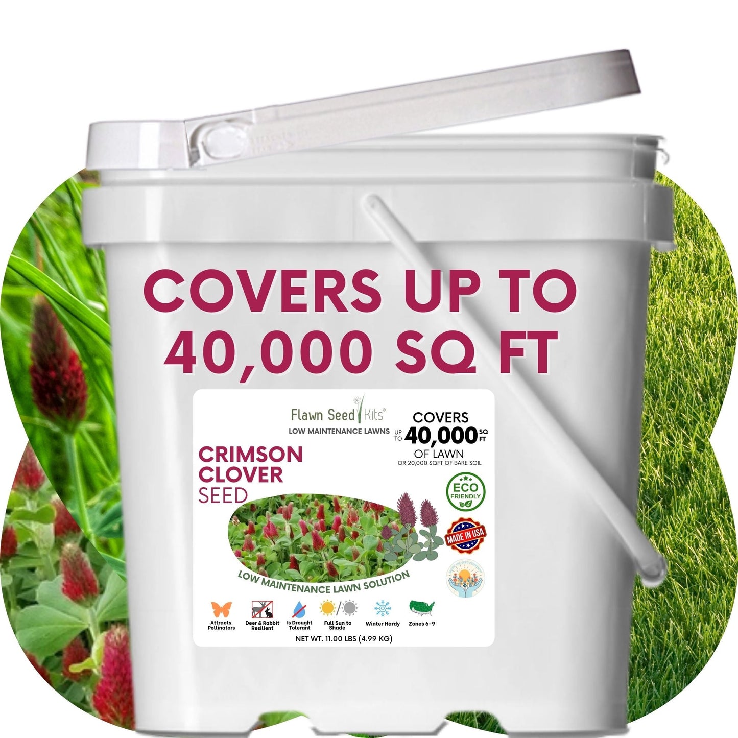 Crimson Clover Seed