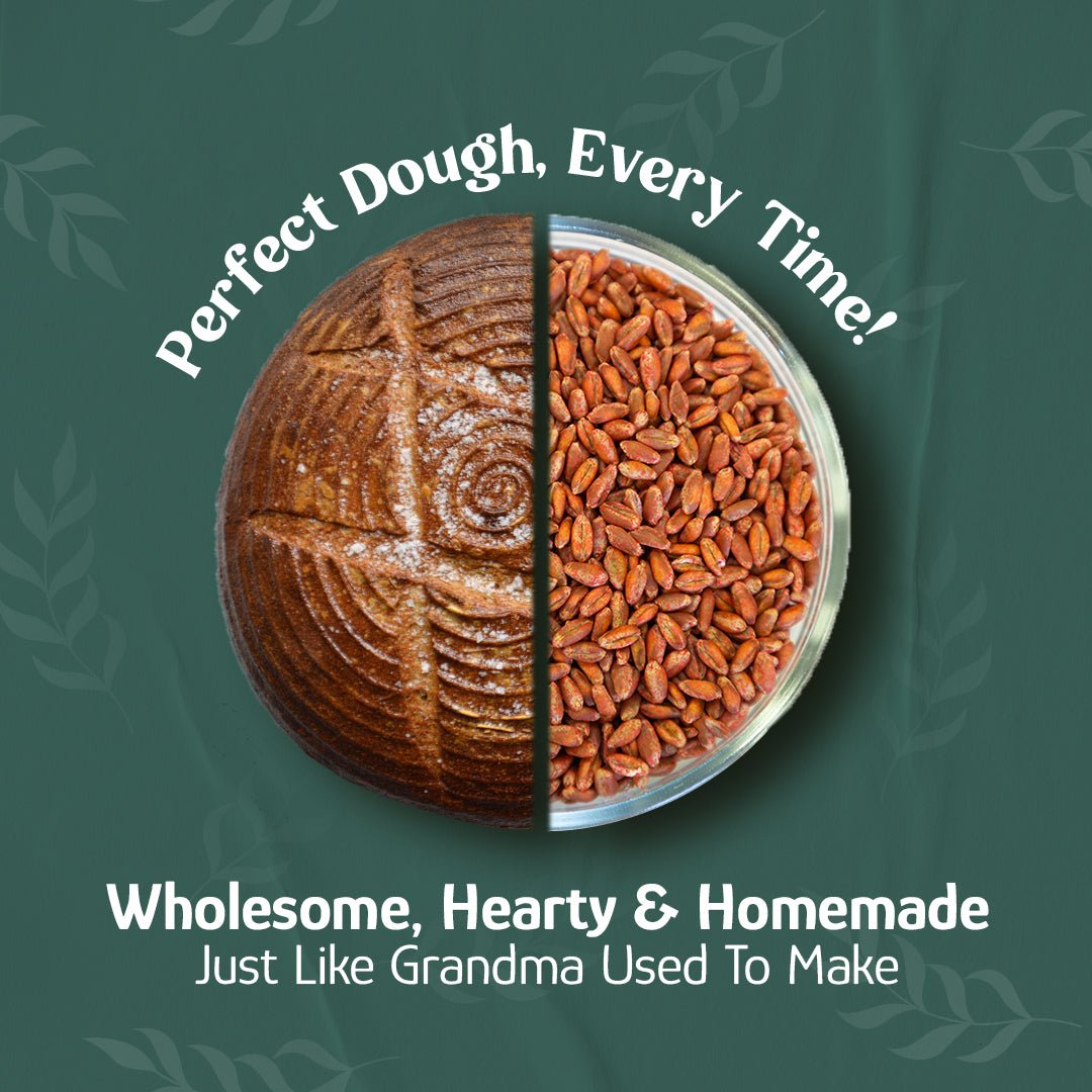 Wheat Berries, Bronze Chief (Red)