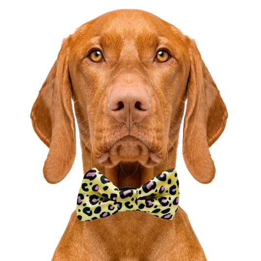Cheetah Print Yellow Dog Bow Tie