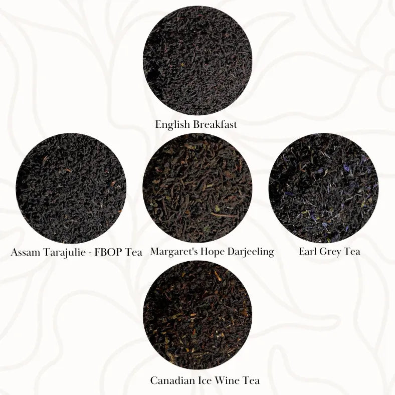 Classic Black Teas with Infuser in a Fancy Gift Box