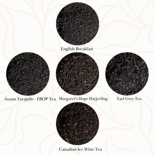 Classic Black Teas with Infuser in a Fancy Gift Box