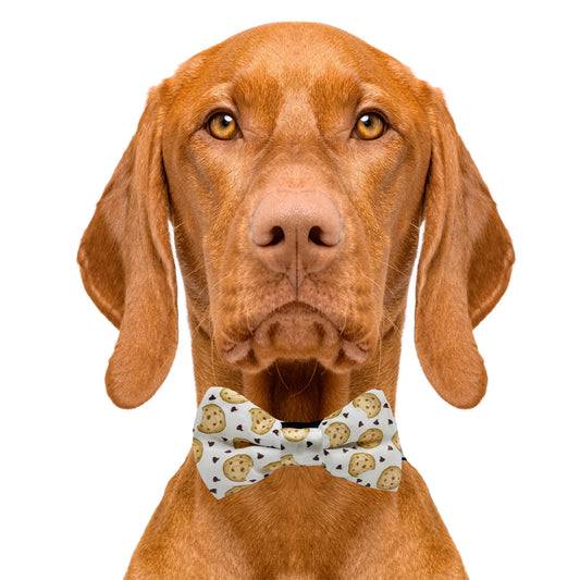 Chocolate Chip Cookie White Dog Bow Tie