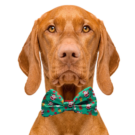 Christmas Festive Green Holiday Dog Bow Tie