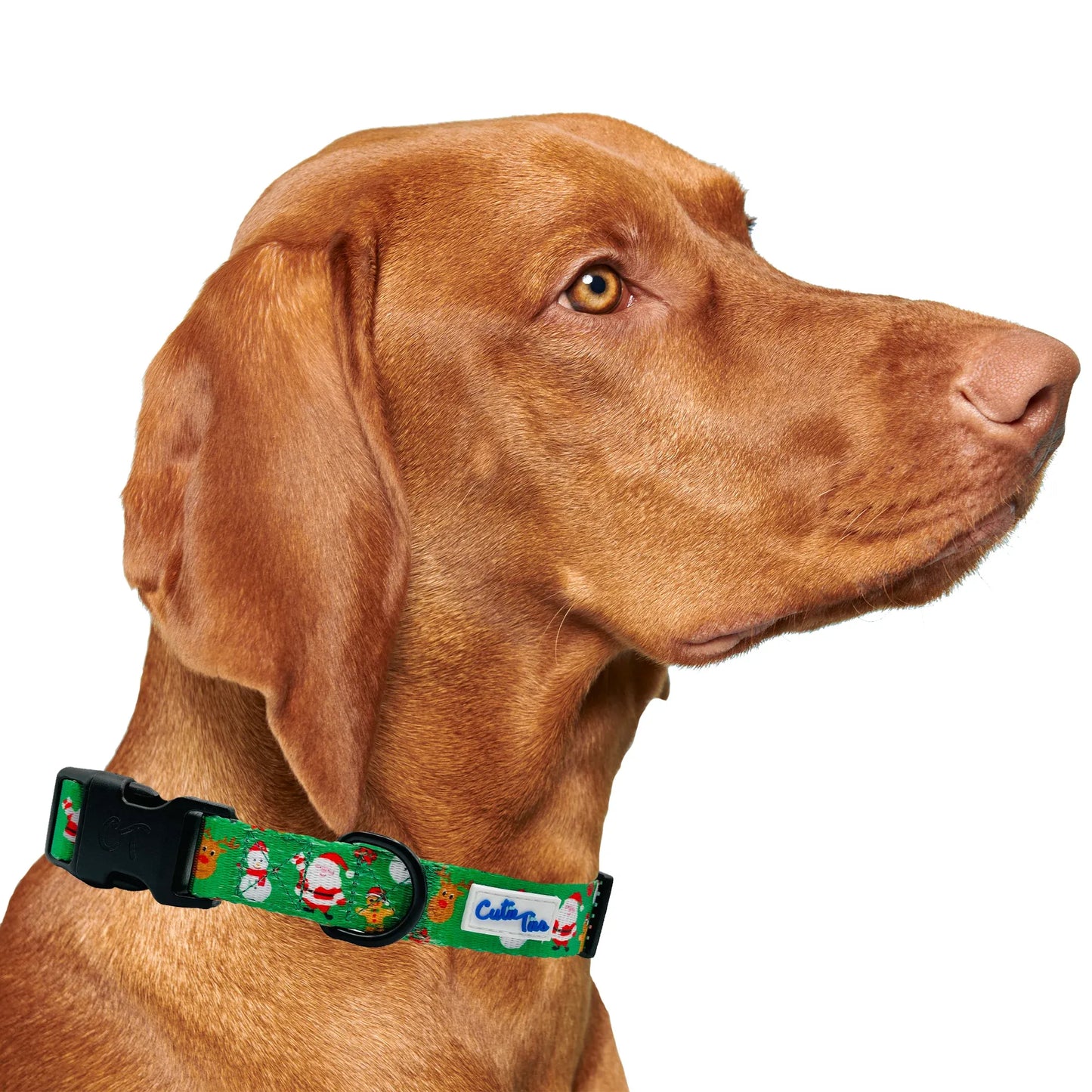 Christmas Festive Green Holiday Dog Collar