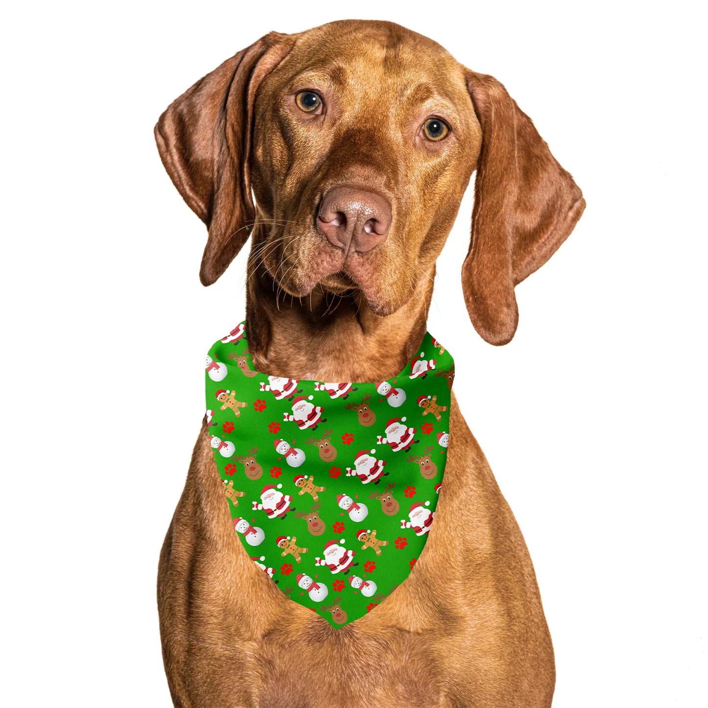 Christmas Festive Green Holiday Tie On Dog Bandana
