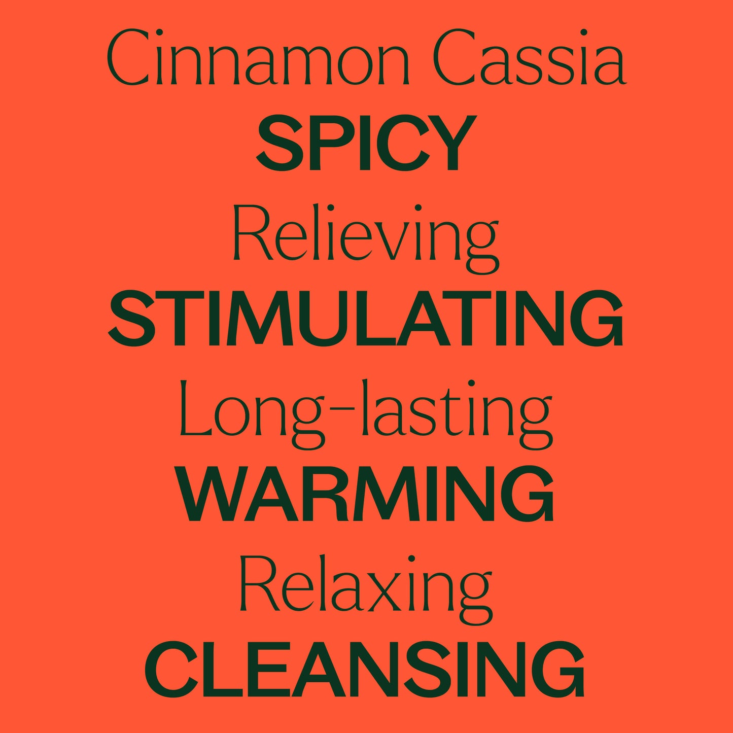Cinnamon Cassia Essential Oil