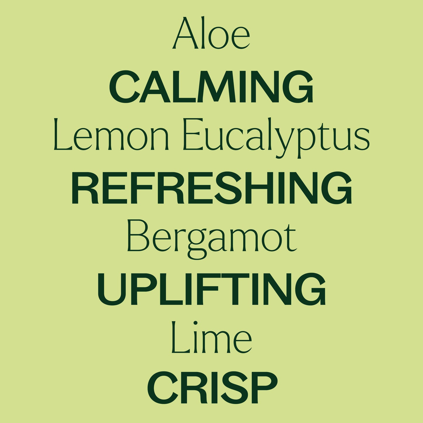 Citrus Refresher Body Wash 16 oz