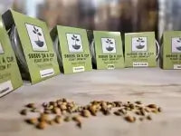 American Ash | Tree Grow Kit  |  Seeds In A Cup®