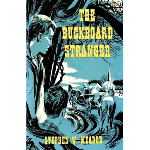 The Buckboard Stranger