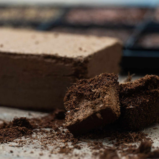Coco Coir Brick