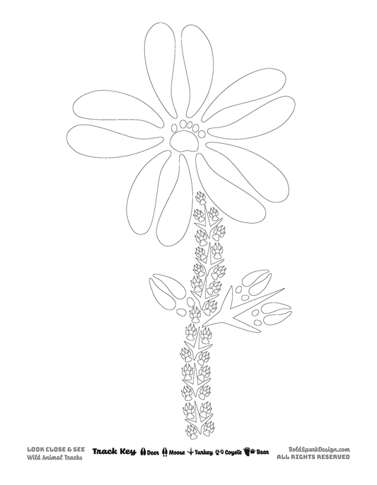 Plants & Fungi Coloring Pages