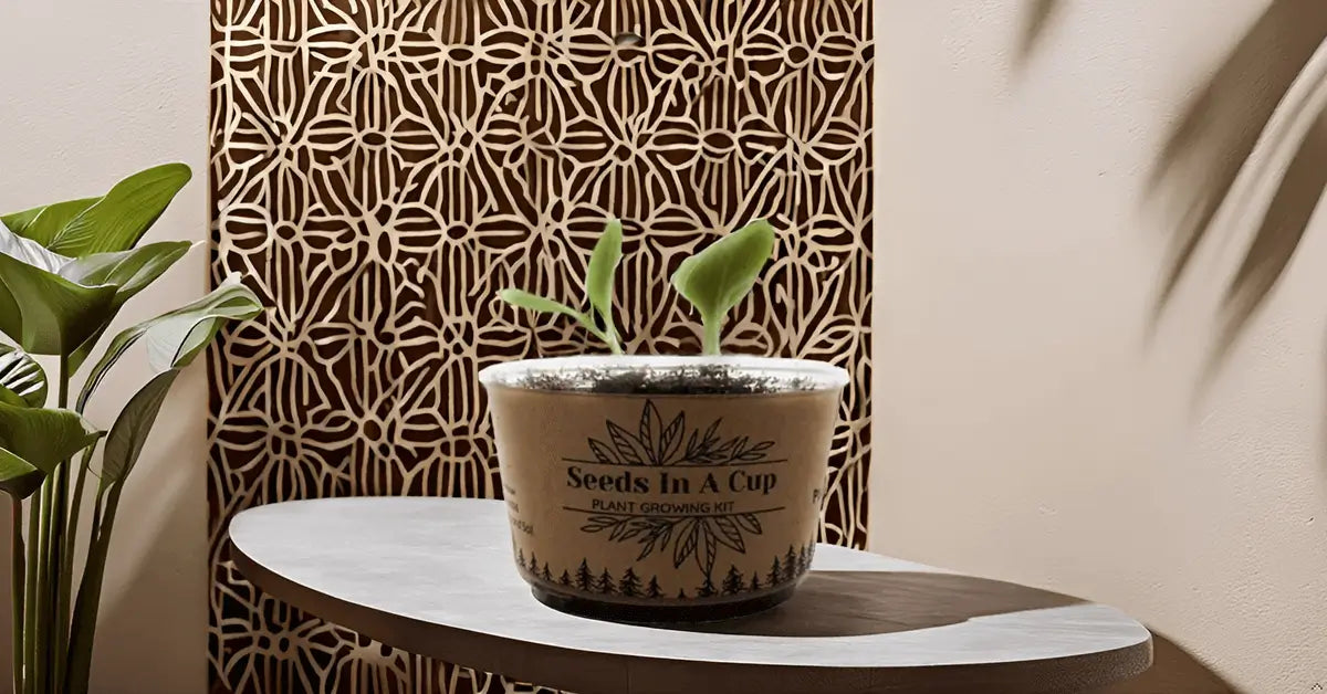 American Elm Tree  |  Seed Starter Grow Kit  |  Seeds In A Cup®