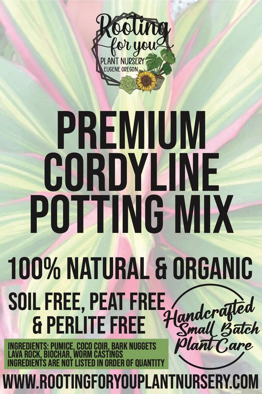 Cordyline Premium Potting Mix