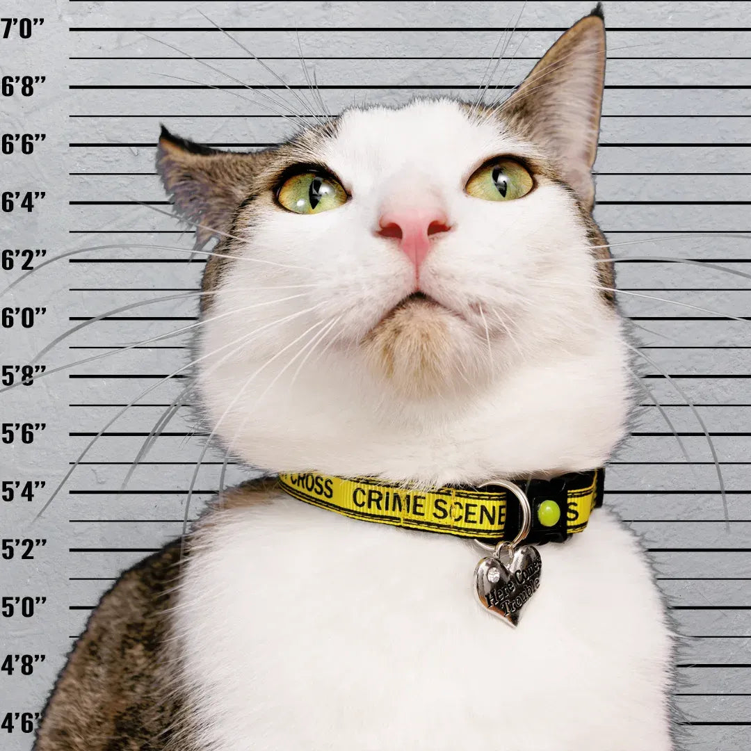 Crime Scene Do Not Cross Breakaway Cat Collar