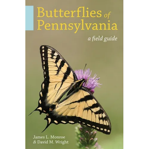 Butterflies of Pennsylvania: A Field Guide