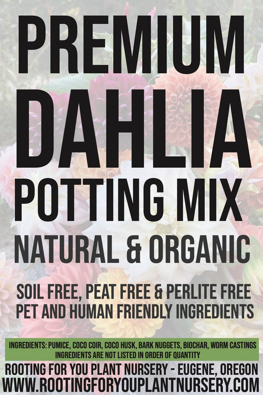 DAHLIA Premium Potting Mix