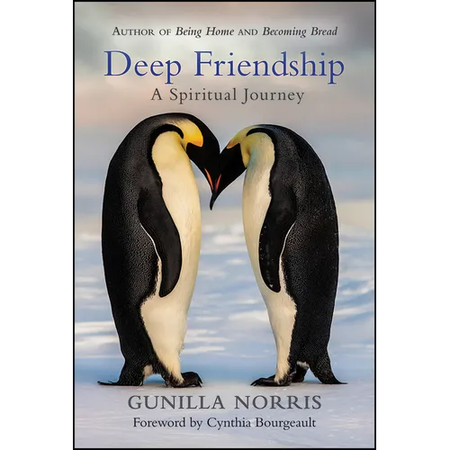 Deep Friendship: A Spiritual Journey