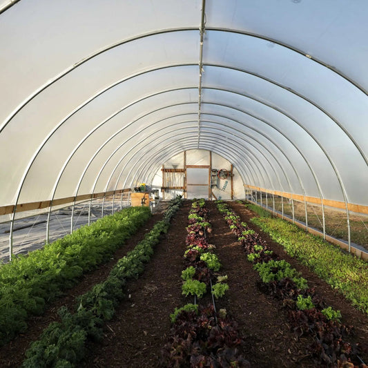 DIY Greenhouse Kit - 16 ft Wide Hoop House