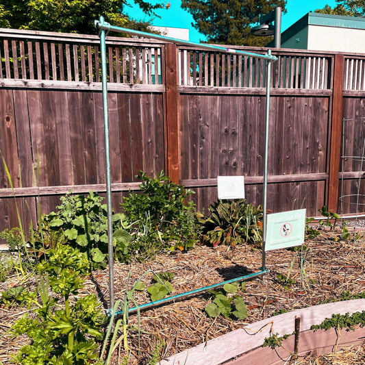 DIY Vine Trellis