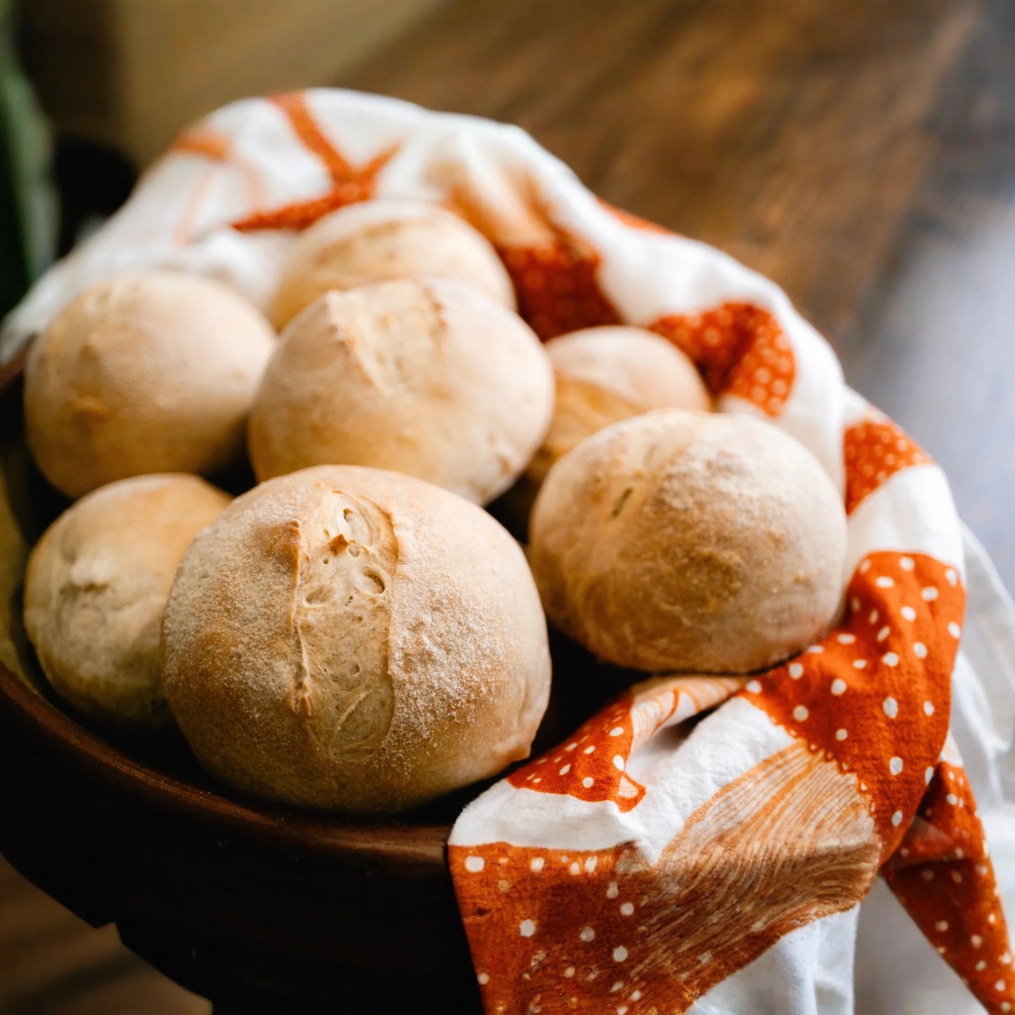 Otis | Sourdough Starter