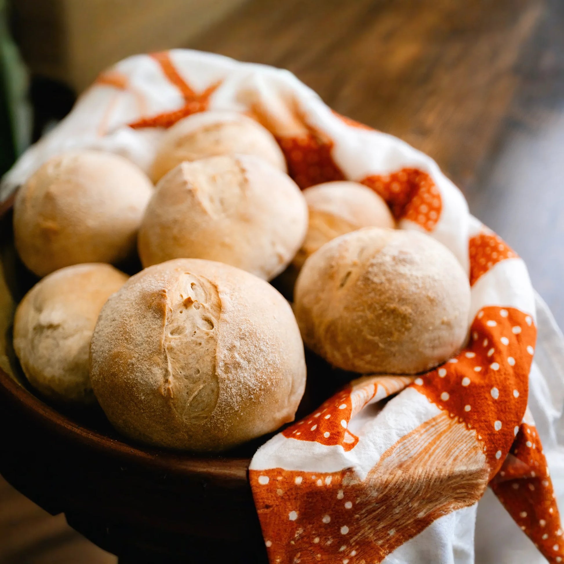 Otis | Sourdough Starter