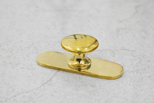 Brass Polished Drawer Knob with Round Backplate