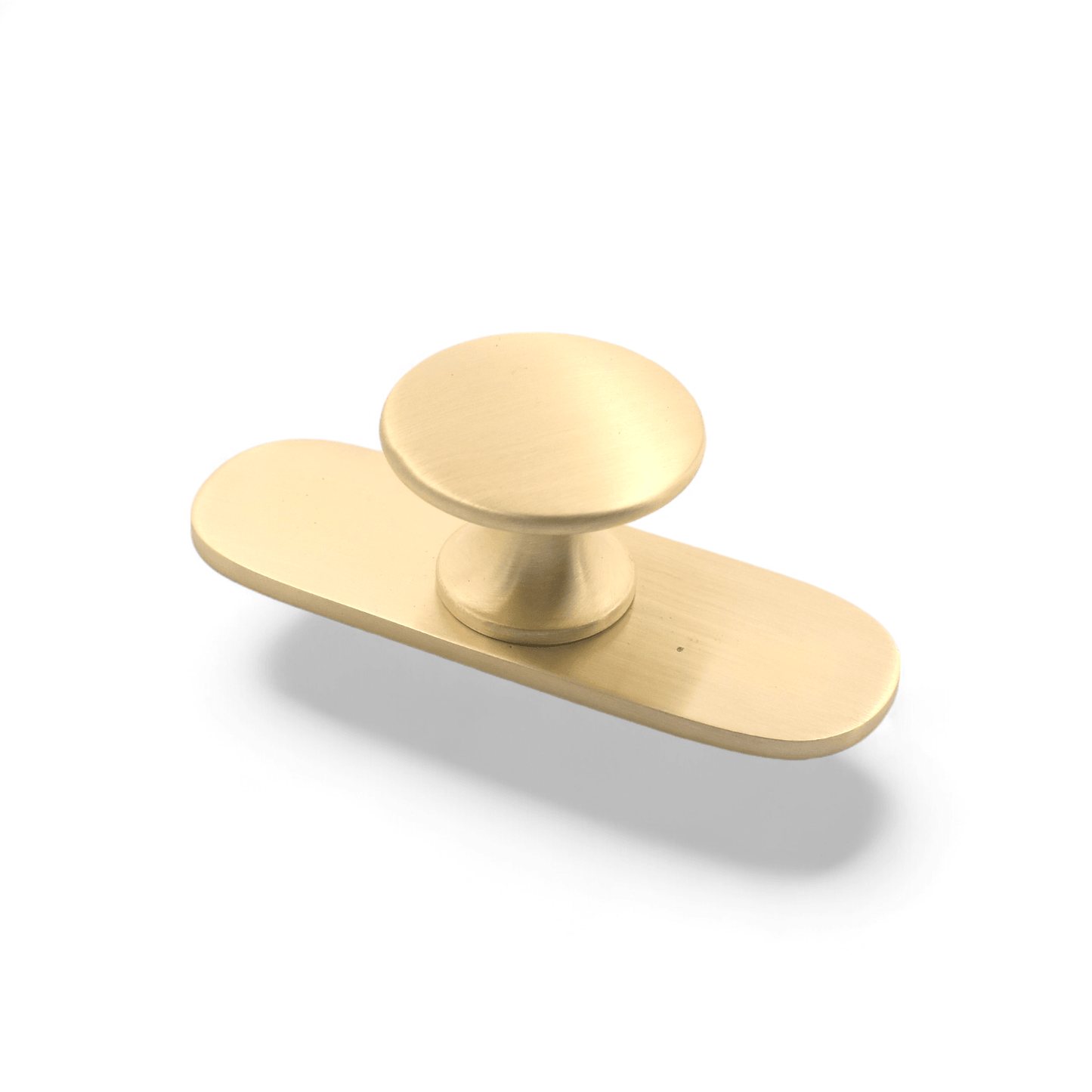 Unlacquered Brass Brushed Round Drawer Pulls with Backplate