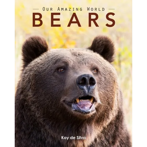 Bears: Amazing Pictures & Fun Facts on Animals in Nature