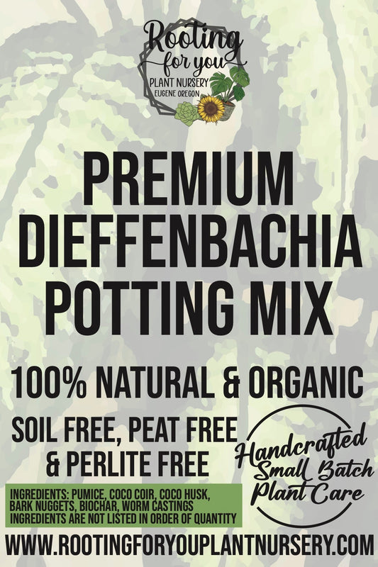 DIEFFENBACHIA - Dumb Canes Premium Potting Mix