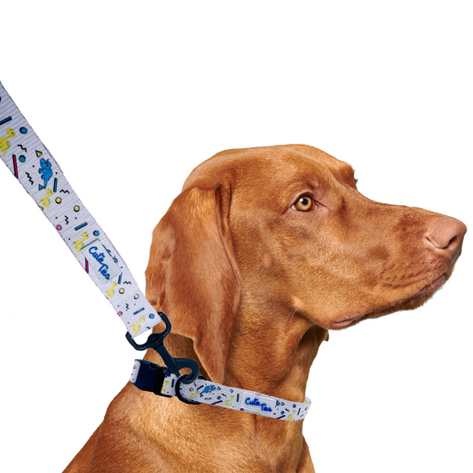 Dino Doggy White Dinosaur Dog Leash