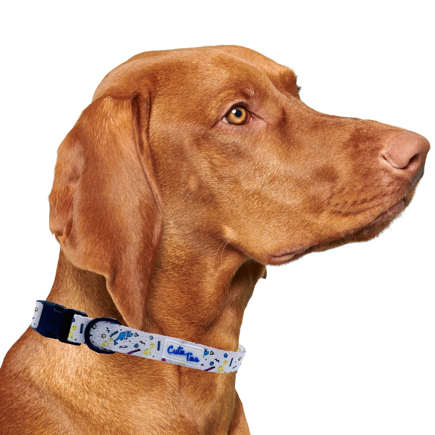 Dino Doggy White Dog Collar