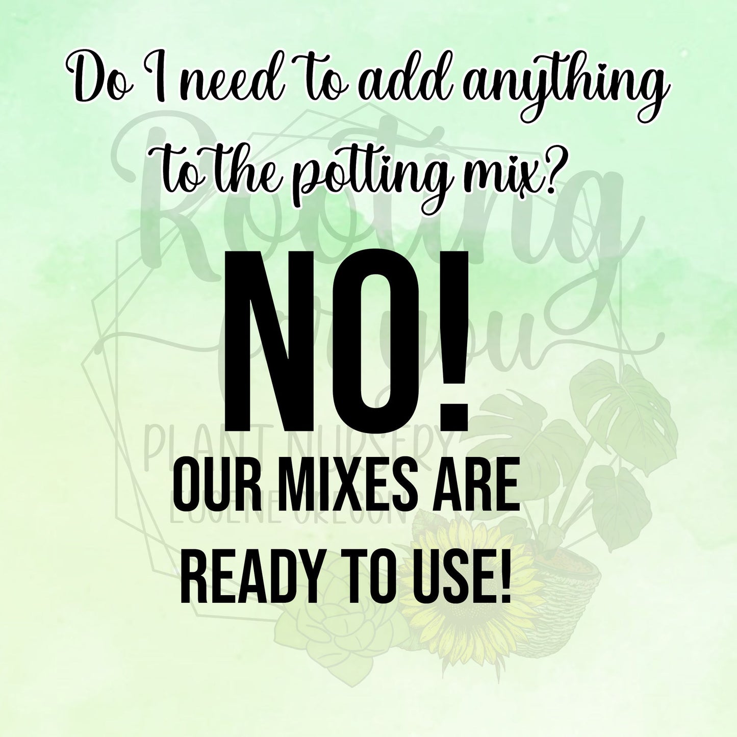 Blue Jade Vine Premium Potting Mix