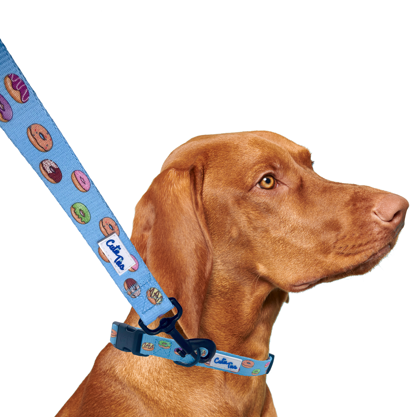 Donuts Blue Dog Leash