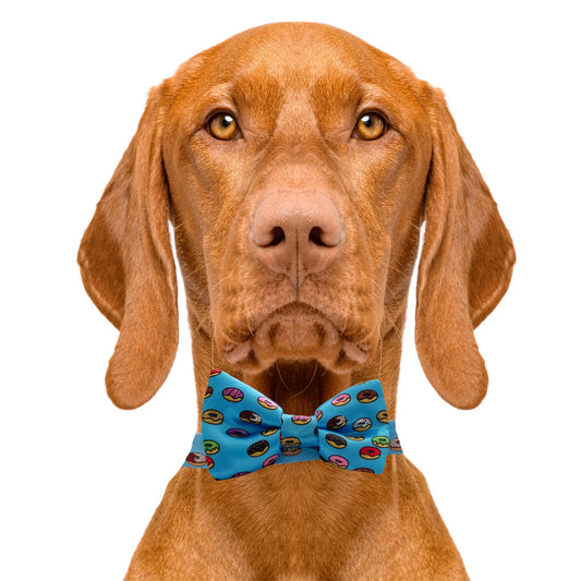 Donuts Dog Bow Tie