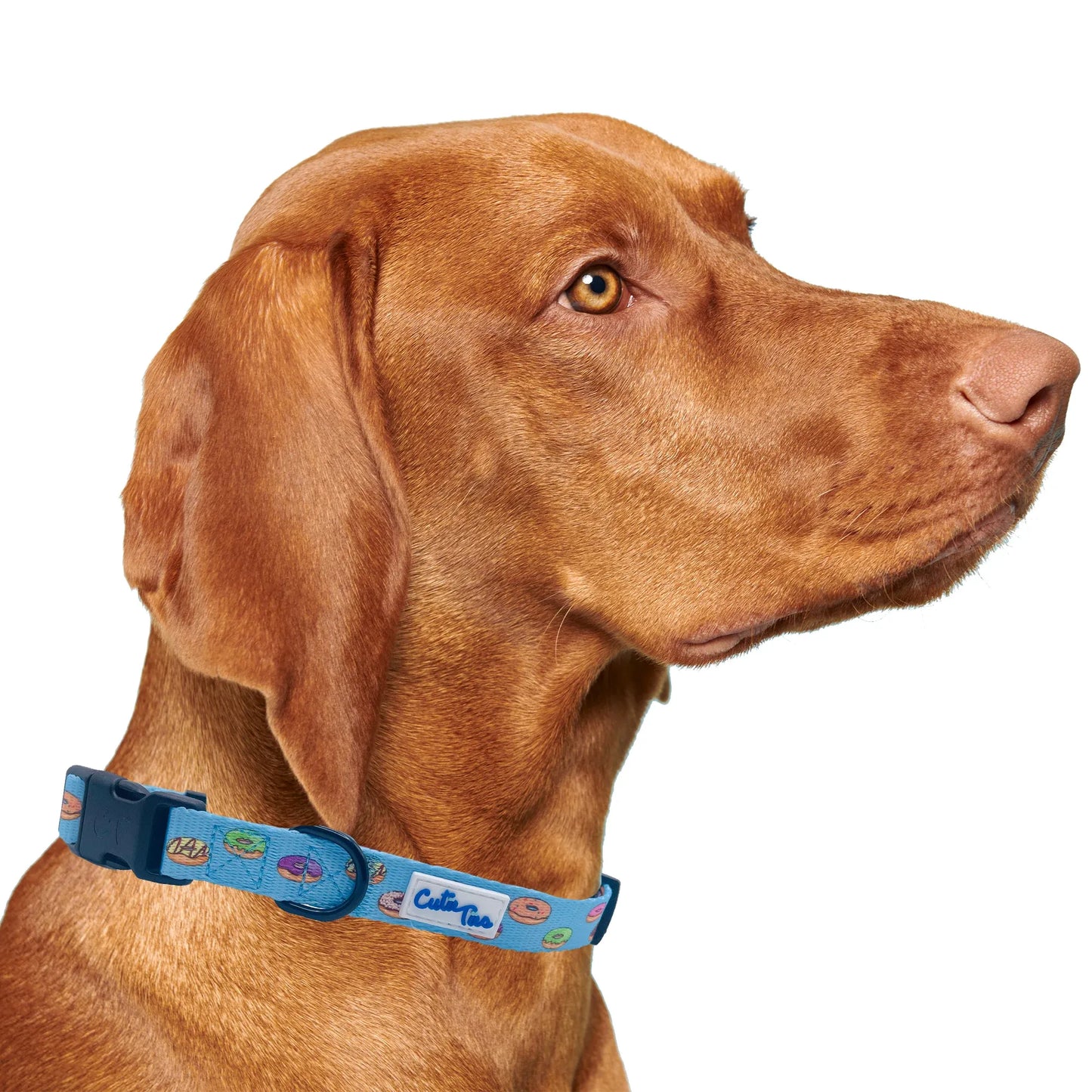 Donuts Dog Collar