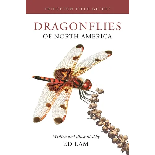 Dragonflies of North America