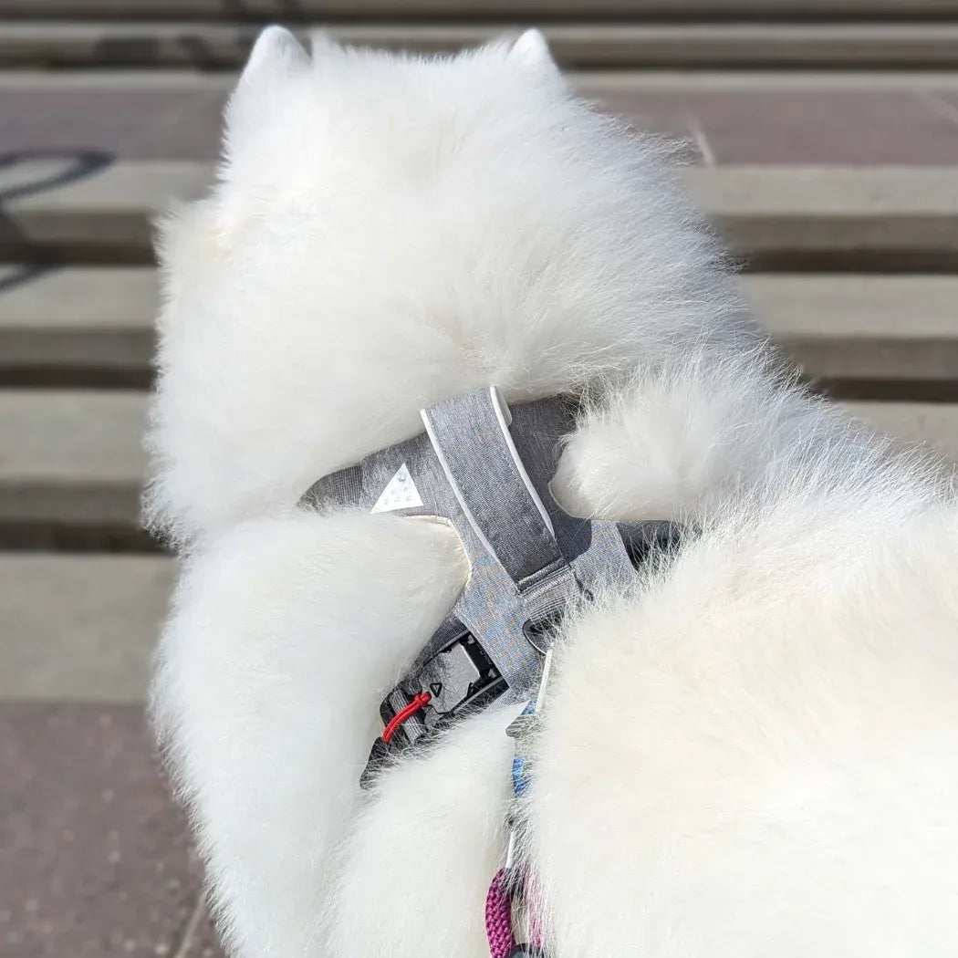 Magnetic Dog Harness - One-Hand Clip, No-Pull Design - 🆕 New Arrivals, All Products, Products from Up Dog Shop, 🐾 Animals + Pet Supplies 🐾, 🐾 Pet Collars + Harnesses 🐾, 🐾 Pet Harnesses 🐾, 🐾 Pet Supplies - Little Red General Store
