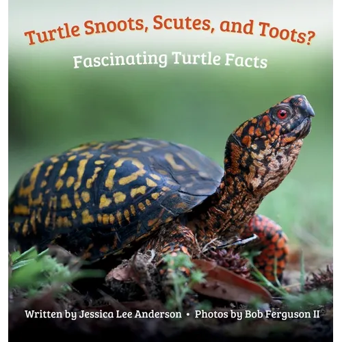 Turtle Snoots, Scutes, and Toots? Fascinating Turtle Facts