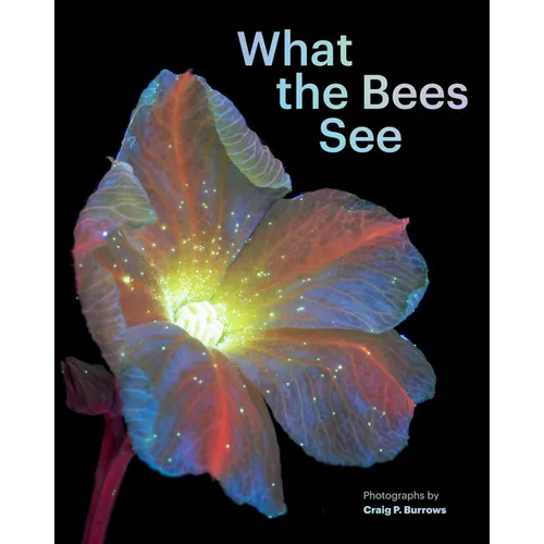 What the Bees See: A Honeybee's Eye View of the World