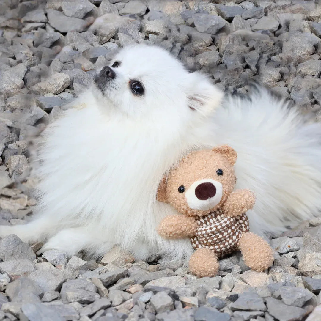 Squeaky Rope Buddies