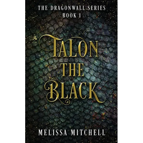 Talon the Black: A Slow Burn Fantasy Series