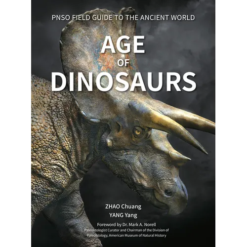 Age of Dinosaurs
