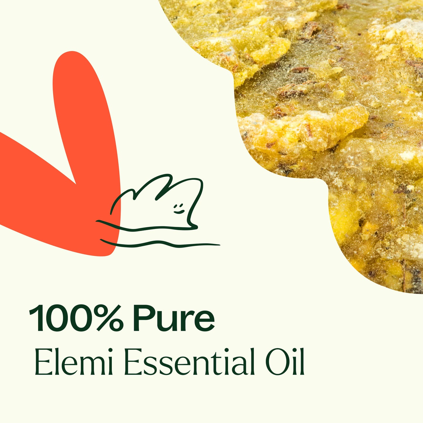 Elemi Essential Oil