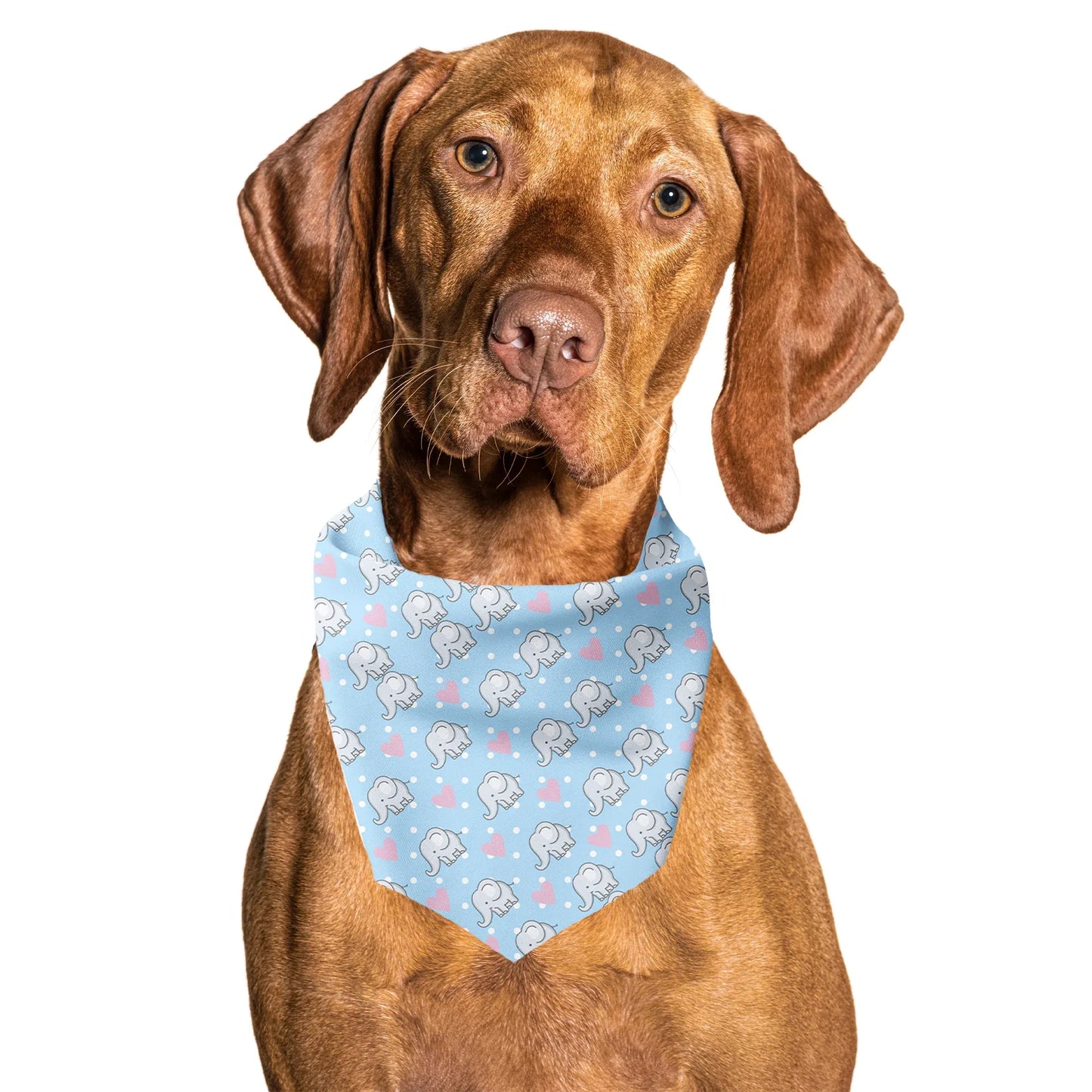 Elephant Love Blue Tie On Dog Bandana