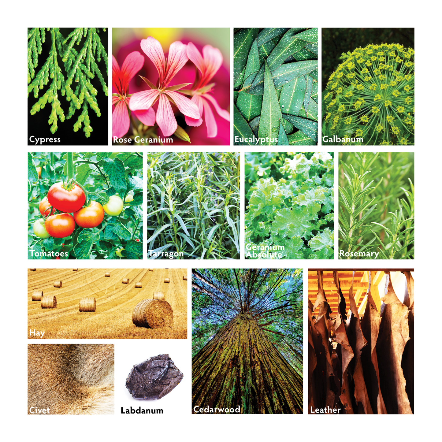 Estancia Luxury Room Spray