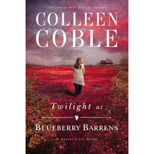 Twilight at Blueberry Barrens