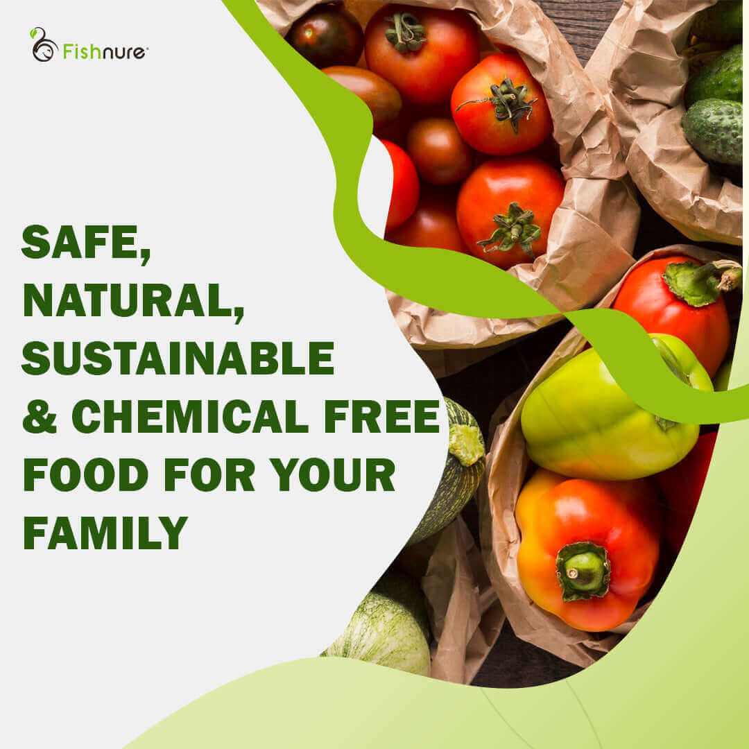 Fishnure 1 pound convenience pack - one pot one bag - Odorless Organic Humus Compost Fish Manure Fertilizer