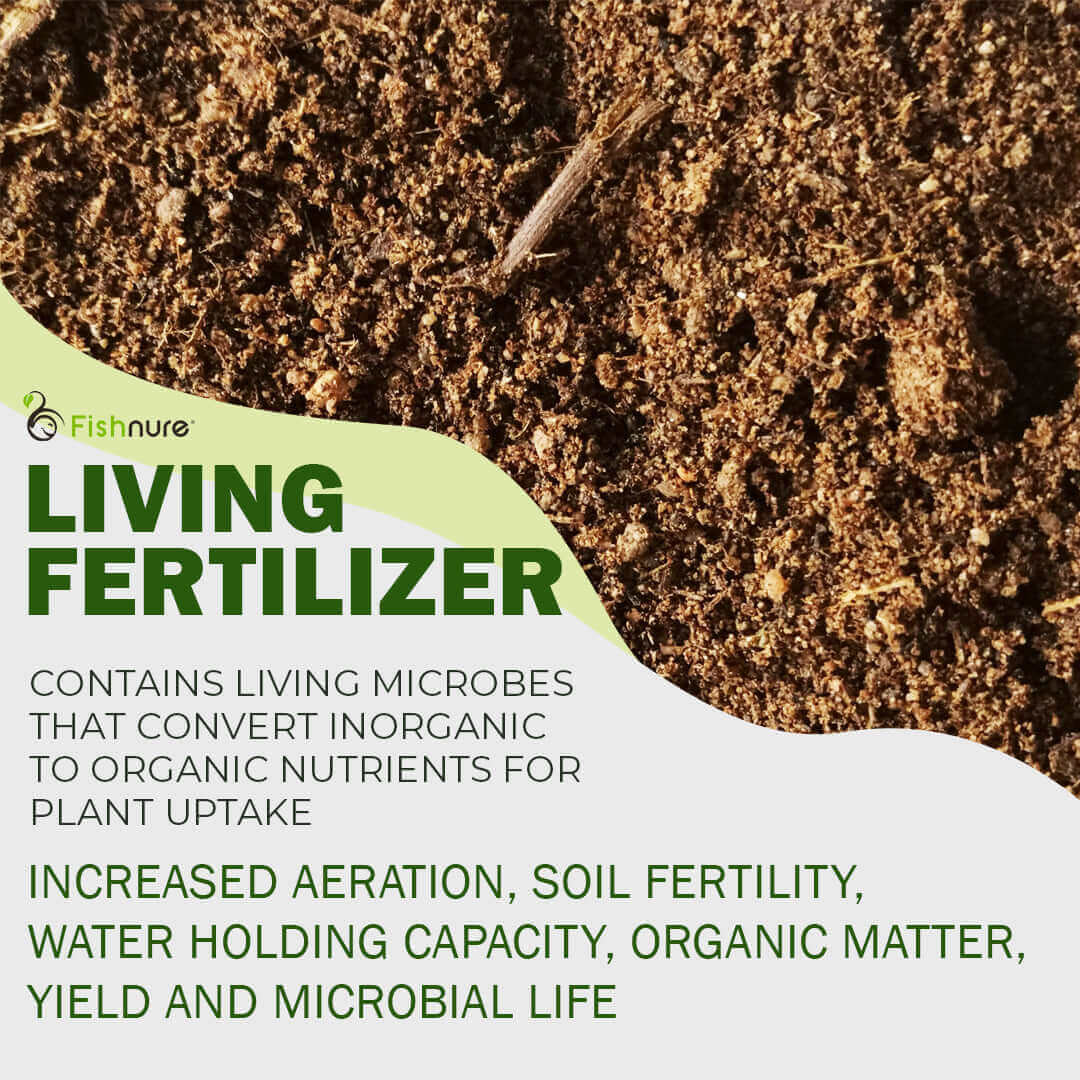 Fishnure 1 pound convenience pack - one pot one bag - Odorless Organic Humus Compost Fish Manure Fertilizer