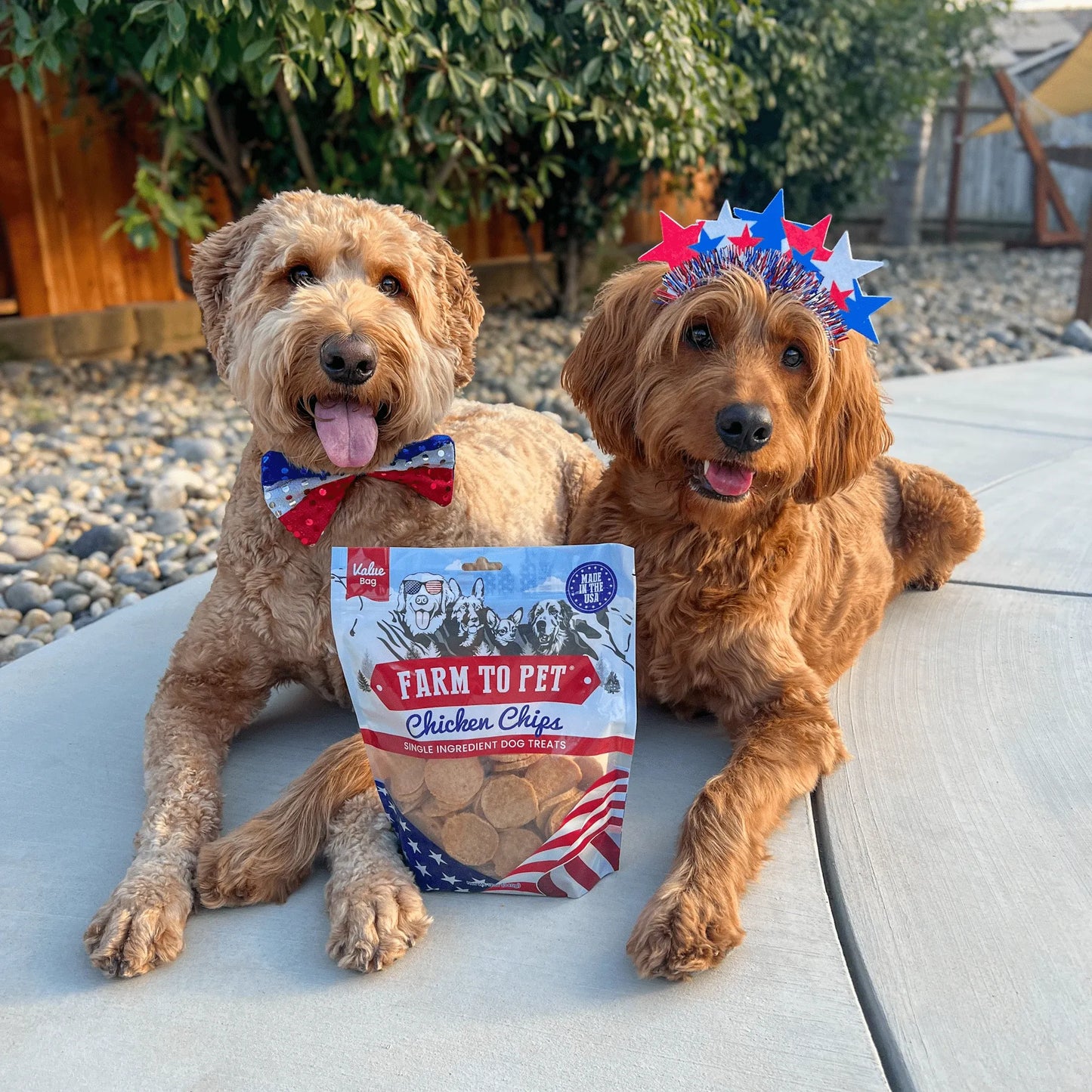 Americana Chicken Chips for Dogs | Celebrate with USA-made Dog Treats